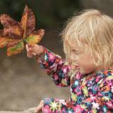 6 Autumn activities for toddlers & preschoolers