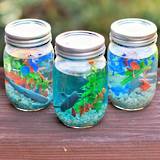 Make your own jam jar aquarium