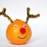 Rudolph the red nosed orange